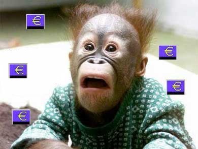 disasterchimp.jpg