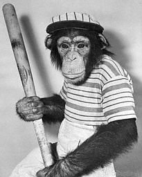 monkeyball.jpg